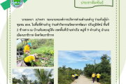 ร่วมทำกิจกรรมจิตอาสาพัฒนา ปรับภูมิทัศน์